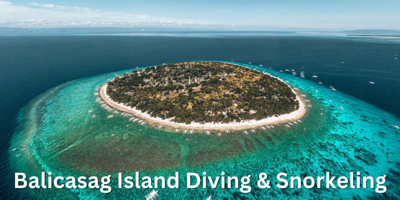 Oslob Boat Tours - Best Boat Tours In The Philippines