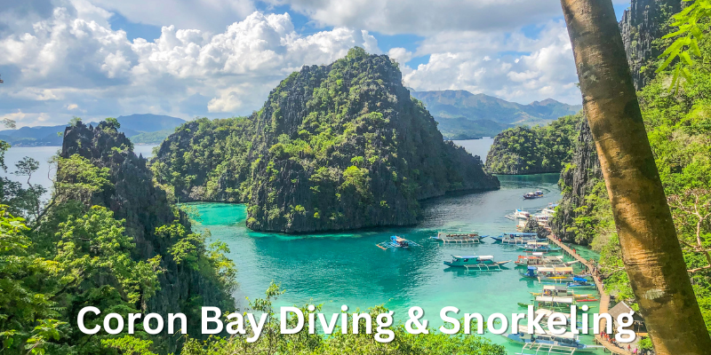Best Bohol Philippines Boat Tours