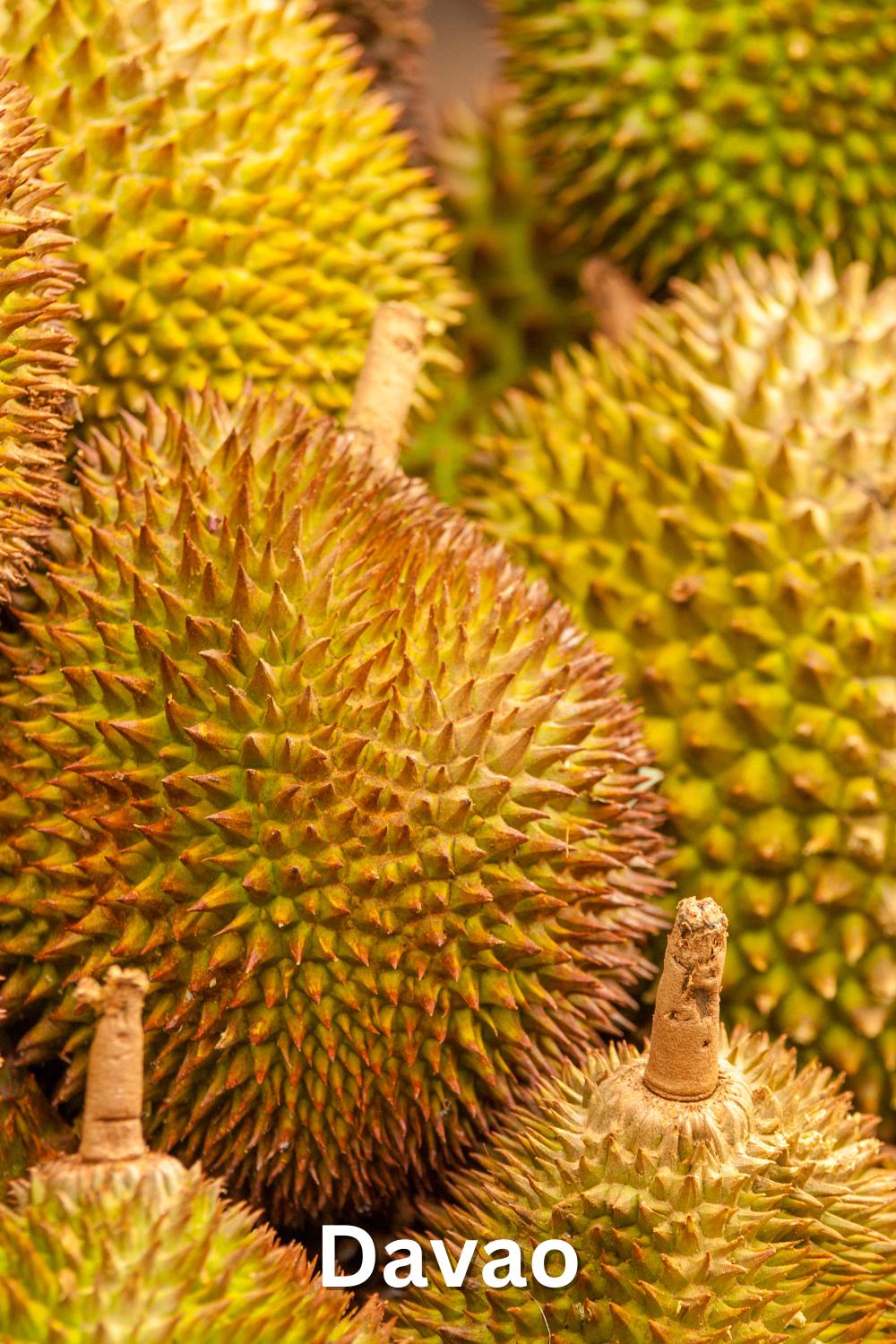 Davao - One of The best Food Tour Cities in The Philippines Fresh Seafood - Davao a Top Food Tour Spot In the Philippines for 2025