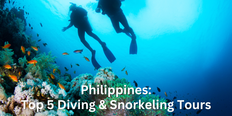 Best Diving and Snorkeling Tours Philippines