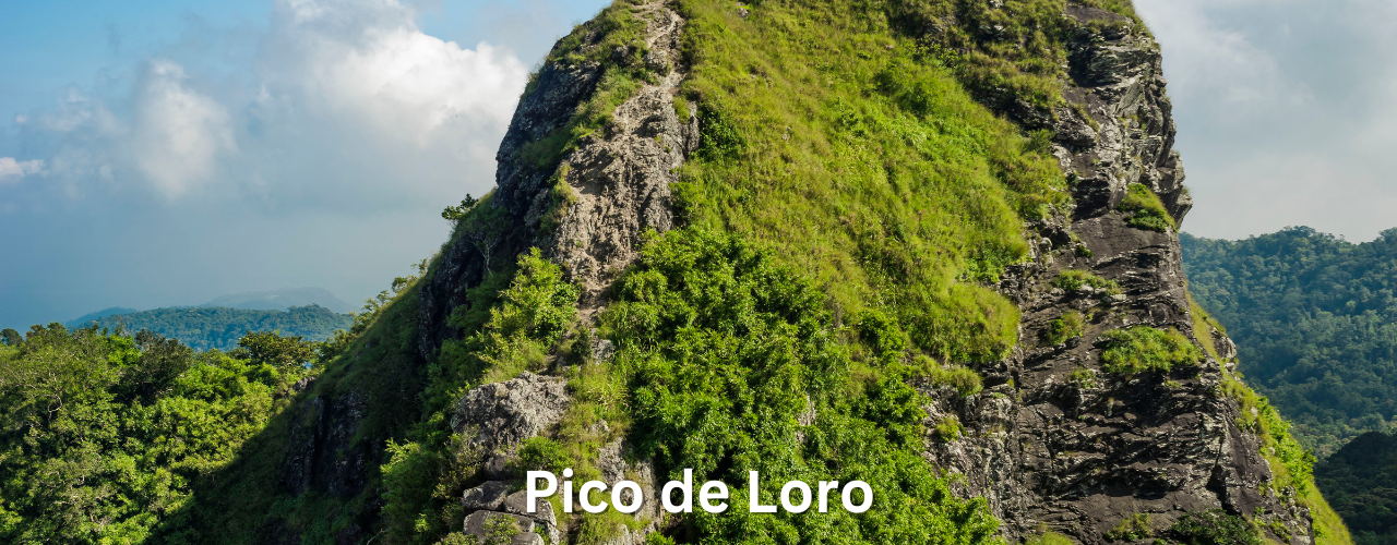 Pico de Loro Best Hiking Trails Near Manila View of Pico de Loro Hiking Trail Near Manila