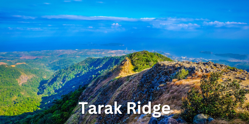 Tarak Ridge Hiking Tour - Beautiful View From Tarak Ridge in The Philippines