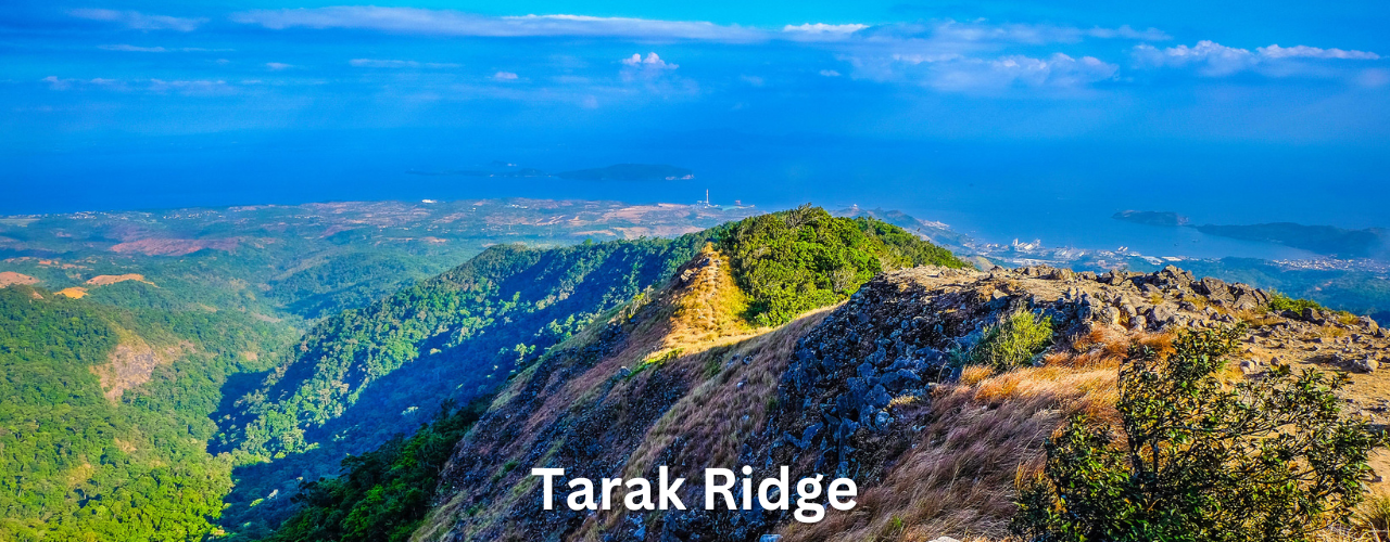 Tarak Ridge One of the best hiking trails near manila Scene view of Tarak Ridge Hiking Trail Near Manila