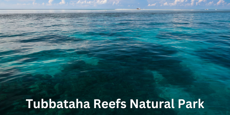 best diving and snorkeling tours philippines