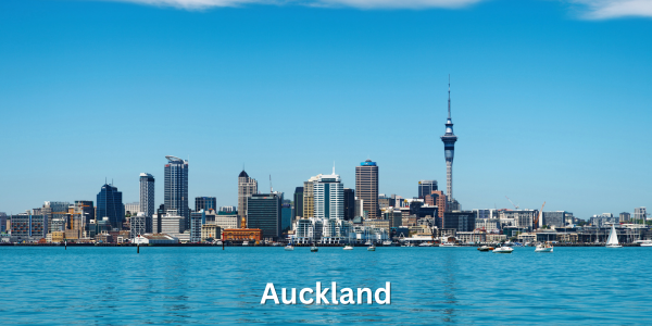 Auckland New Zealand Tours View of Auckland New Zealand From The Water