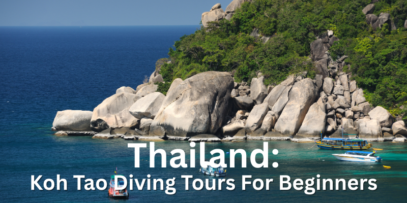 Best Diving Tours In Koh Tao For Beginners Beginner Scuba Diving Tours In Koh Tao Thailand