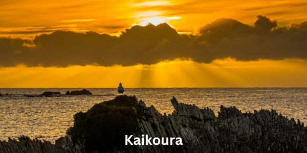 Kaikoura New Zealand Tour Packages Beautiful Sunet Over Looking The Water In Kaikoura