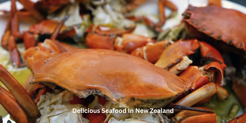 Delicious Seafood In New Zealand  On A Plate