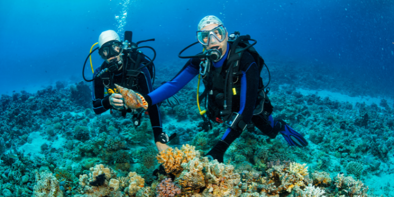 Scuba Diving For Beginners In Koh Tao is A Lot of Fun Two divers in Koh Tao Thailand Having Fun