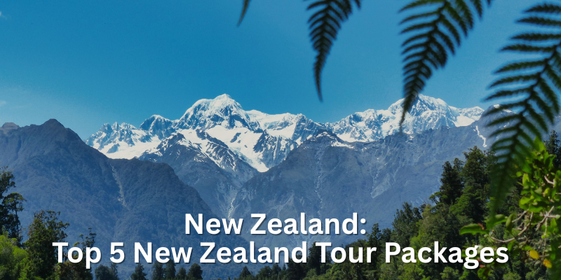 Top 5 Best New Zealand Tour Packages in 2025 Best New Zealand Tour Packages - Beautiful Mountains In New Zealand