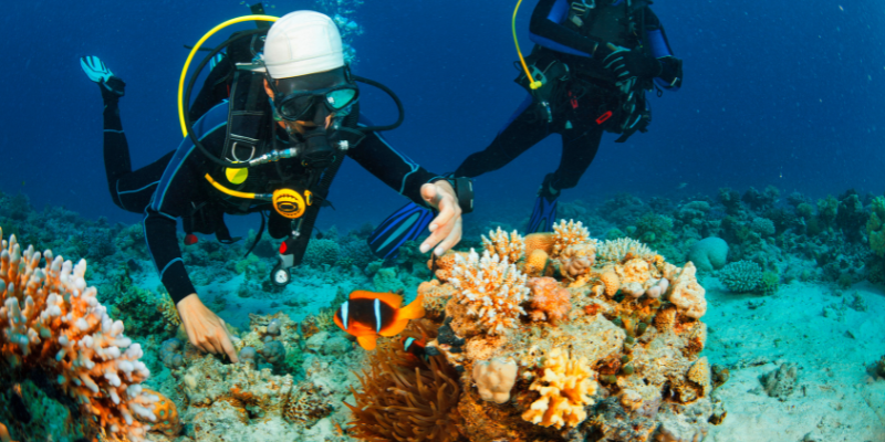 Why Koh Tao is Ideal for Beginner Scuba Divers Learning how to scuba diving in Koh Tao - 2 Divers check out coral coral reefs